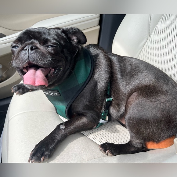 Meet your Posher, Brianna! - Picture 4 of 4